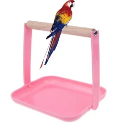 Bird Stand Tabletop Training Perch Parrot Play-stands With Plastic Poop Tray