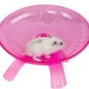 Plastic Exercise Wheel For Small Animals - Silent Non-slip Disc For Hamsters, Hedgehogs, Small Pets, Pink Exercise Wheel, 18 X 18 X 11cm