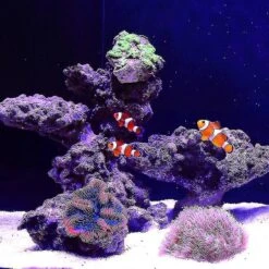 Aquarium Coral Ornaments Diy Fish Tank Decoration Artificial Plant Color Resin