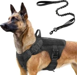 Tactical Dog Harness And 4ft Bungee Leash, Military Dog Harness Set For Large Medium Dogs, Hunting, Training - -