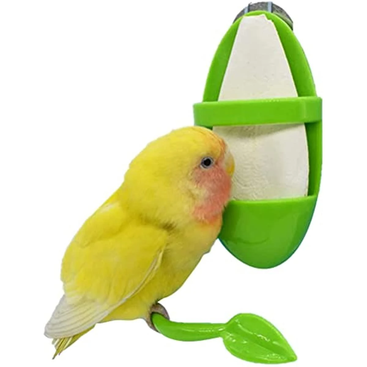 Wency Large Cuttlefish Bone Holder Plastic Cuddle Bone Feeding Racks Parrot Cage Stands Accessories For Cockatiels Parakeets Budgies Finches