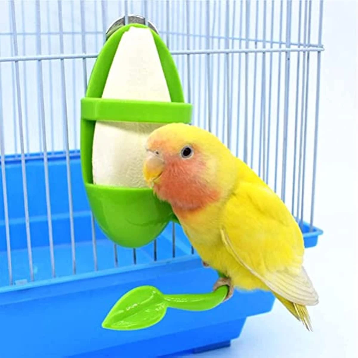 Wency Large Cuttlefish Bone Holder Plastic Cuddle Bone Feeding Racks Parrot Cage Stands Accessories For Cockatiels Parakeets Budgies Finches - Image 4