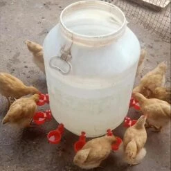 6 Pack Automatic Chicken Waterer, Chicken Water Cups Feeder Kit, 3/8 Inch Thread Diy Poultry Waterer Drinking Bowl Suitable For Chicks Duck Goose Turk