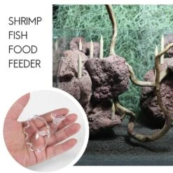 Rium Shrimp Dish And Tube Acrylic Shrimp Food Er Bowl Container For Aq