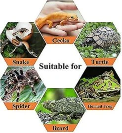 Reptile Feeding Box Breeding Box, Portable Acrylic Clear Terrarium Case For Insect Habitat