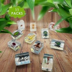 11pcs Resin Insect Specimens, Insect Paper Weight, Resin Real Insects, Various Insect Specimens From Shantou Centure