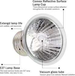 2pcs Reptile Heat Bulb Uva+uvb 3.0 Full Spectrum Tortoise Heat Lamp Bulb 25w Heat Lamp