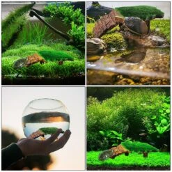 Reptisand Tortoise Climb Tortoise Floating Platform Reptile House Turtle Floating Dock