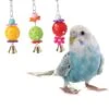 Small Animal Activity Molar Balls Chew Toys Teeth Grinding For Parrot Parakeet Birds African For Grey Cockatiel