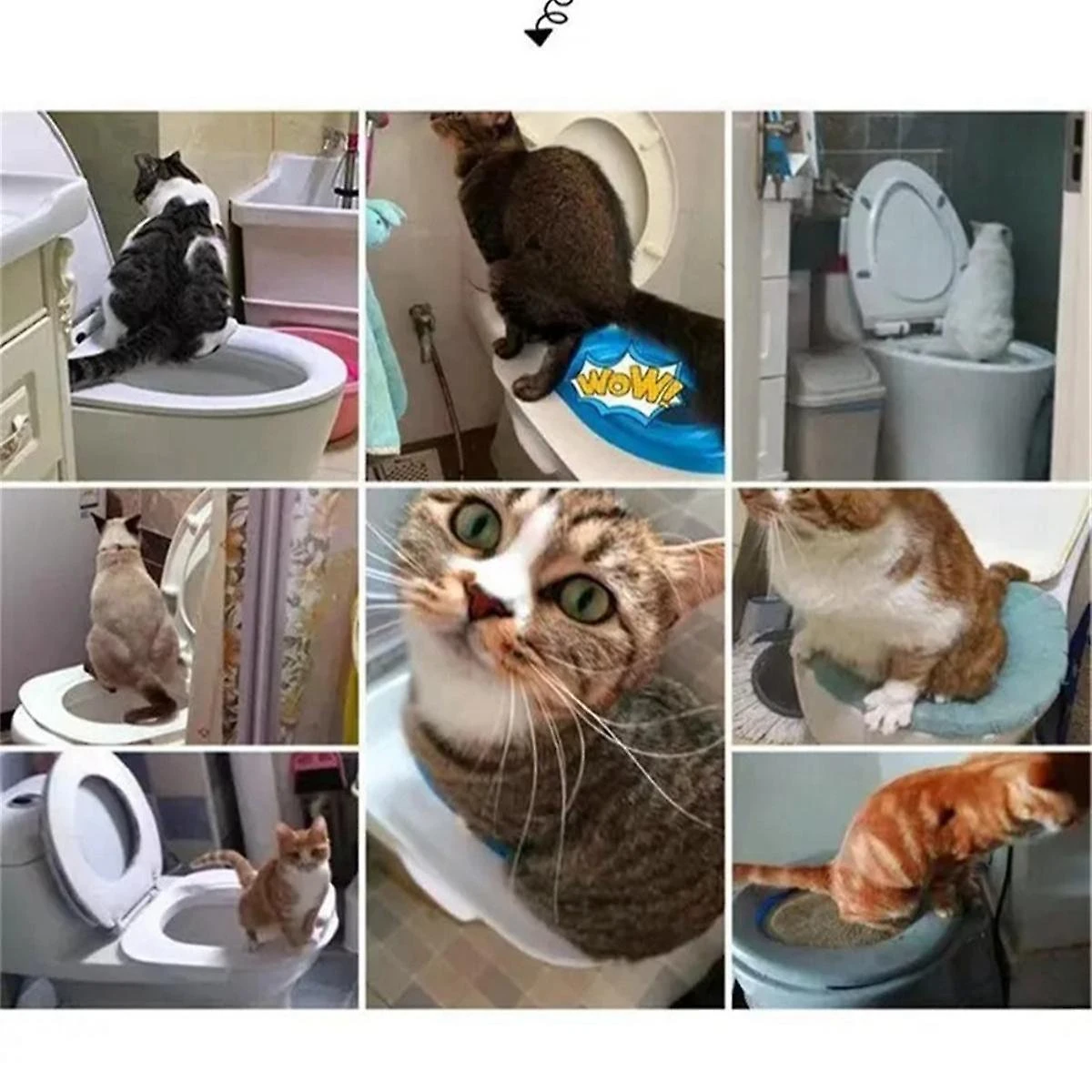 Plastic Cats Toilet Training Kit Reusable Puppy Cats Litter Mat Cats Toilet Trainer Toilet Pets Cle - Image 5