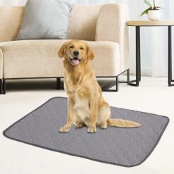 Gray L Washable Reusable Waterproof Pet Training Mat - Pee Pads For Dogs And Cats