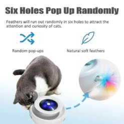 2-in-1 Doraemon Electric Ball Track With 4 Interchangeable Springs