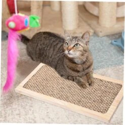 Scratching Post Toys Scratching Board Floor Scratch Pad Scratcher Board Replaceable Kitten Scratch