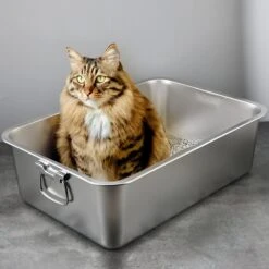 Rectangle Stainless Steel Cat Litter Box - Spacious, Low Entry, And Broken-resistant M 2