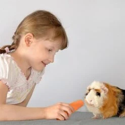 Guinea Pig Cage Liners, Washable Guinea Pig , Waterproof Reusable & Anti , Absorbent Pig Bedding 2P