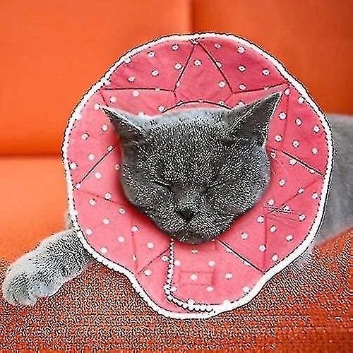 Comfortable Post-surgery For Cats And Dogs, Robust, Waterproof, Resistant To Scratches And Bites, Ea