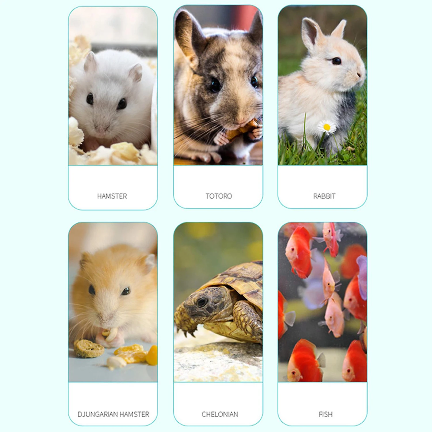 10 Kind Of Meats 25g Freeze Dried Hamster Treat With Balanced Nutrition Fruit And Vegetable Mix - Perfect Snack For Syrian Hamsters - Image 3