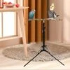 Adjustable Bird Stand For Parakeets, Cockatiels, And Macaws - Perfect For Playtime