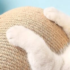 Wooden Cat Toys,funny Roller Ball,durable Solid Wood Cat Scratching Board Cat Climbing Frame(22x18x16cm)