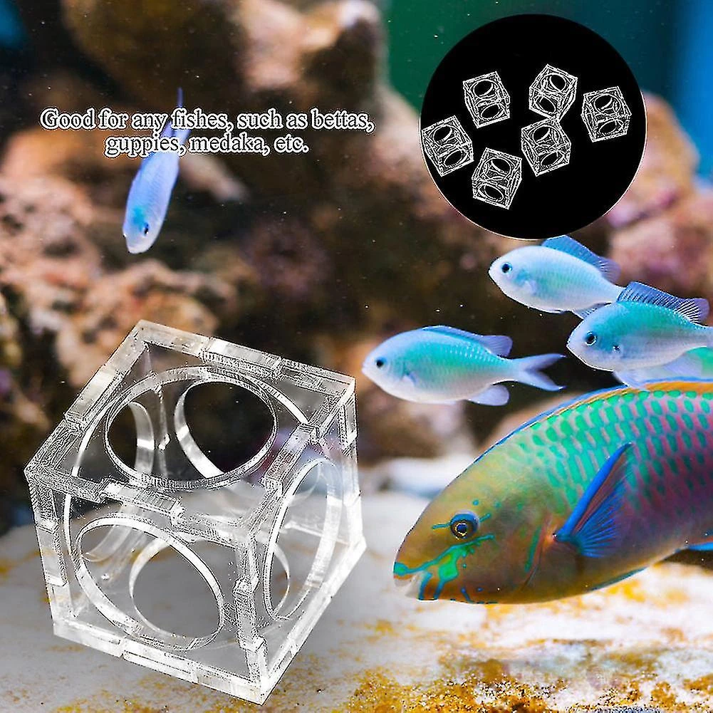 6Pcs Aquarium High Quality Acrylic Shrimp Breeding Isolation Box Fish Nest(Medium) - Image 4