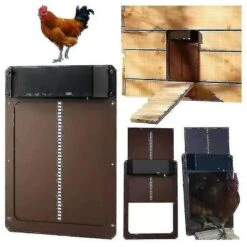 Automatic Chicken Coop Door Light Sense Opener Chicken House Door - Ruikalucky