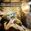 Reptile Basking Spot Lamp Reptile Heat Lamp With 360 Rotatable Hose For Turtle Bearded Dragon Lizards Snake WHTIE No Bulb