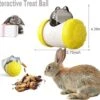 Interactive Treat Ball For Rabbits, Roll And Push, Use With Diced Carrot, Dried Herbs Or Dried Fruit, Snack Toy Ball For Rabbits, Guinea Pigs, Chinchi