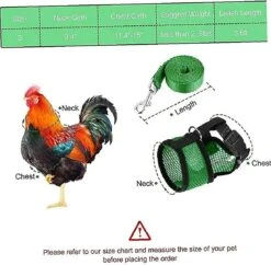 Chicken Chicken Waist With Matching Strap Comfortable Breathable Chicken Rooster Home Garden Pet Supplies