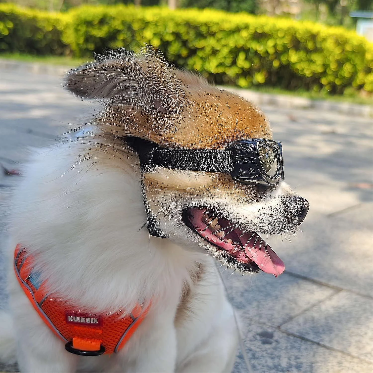 Dog Goggles Small Breed,dog Sunglasses Goggles, Uv Protection Dog Sunglasses For Cat, Puppy Outdoor White - Image 2