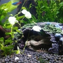 Fish Tank Cass Seau Cave Dcoration Aquarium Fish Tank Rsine Cass Seau Dcoration Poisson Crevette Cach Aquarium Grotte Paysage Dcoration