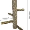 Natural Wood Bird Perch Set, Paw Grinding Stick Parrot Stand Wood Perches And