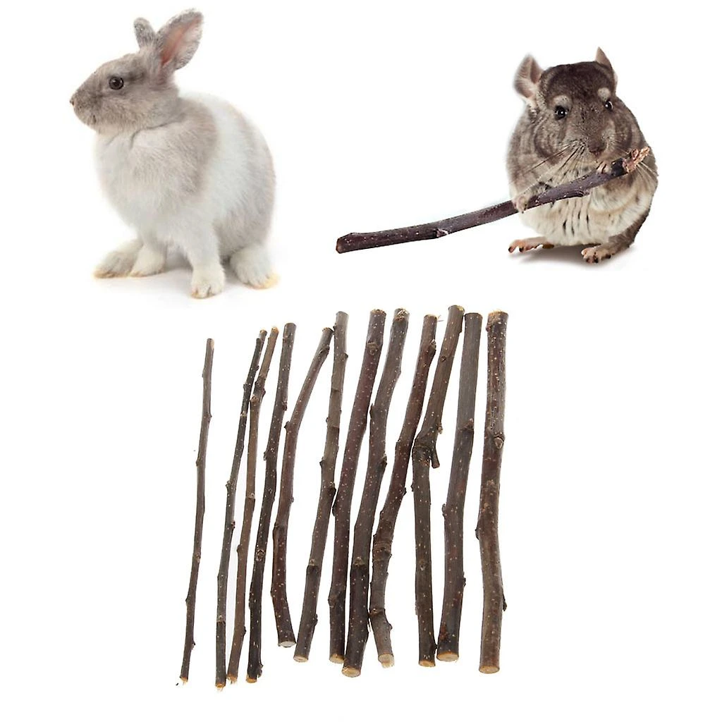 Natural Orchard Chew Sticks Treats Teeth Grinding Toy Hamster Molar Stick Toys - Image 3