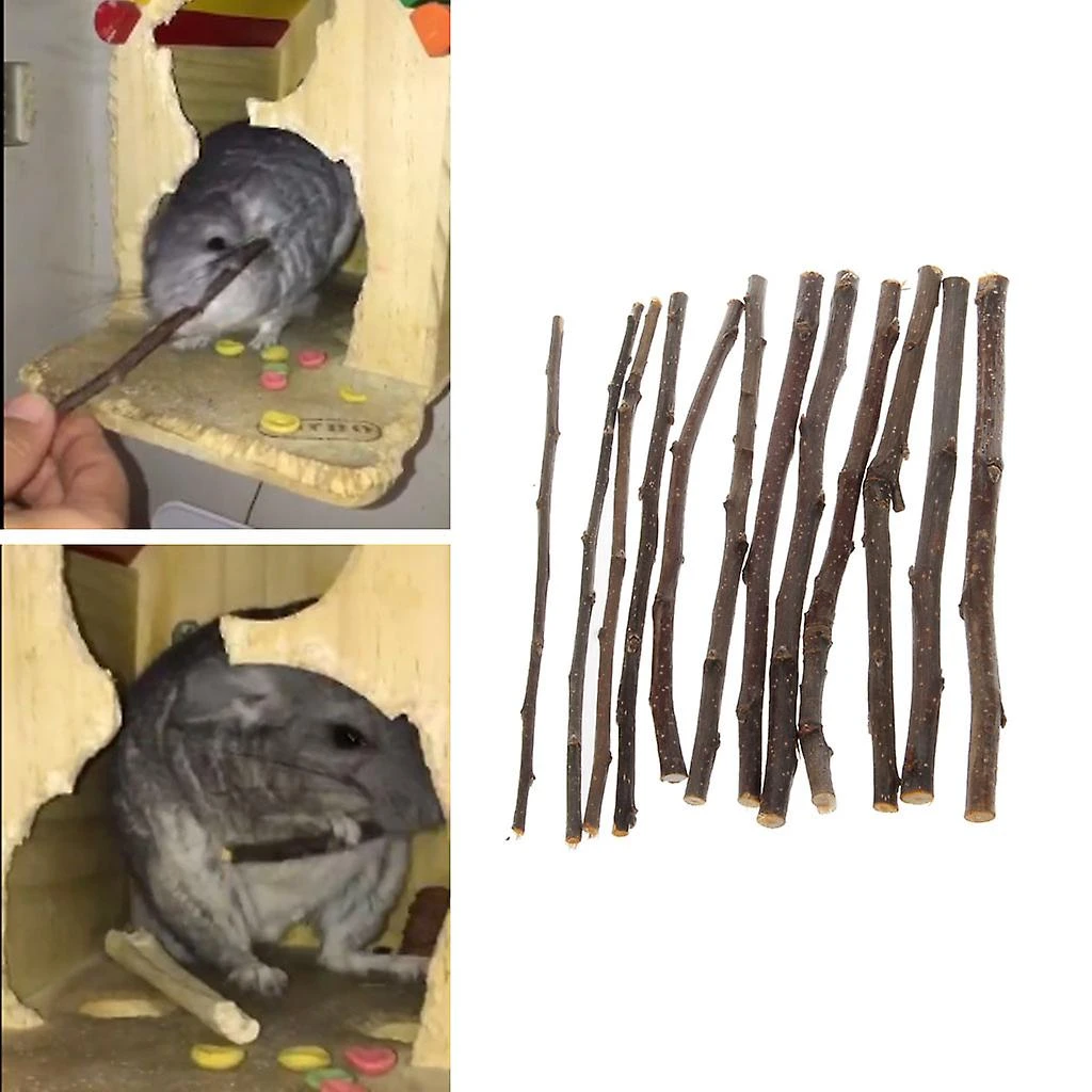 Natural Orchard Chew Sticks Treats Teeth Grinding Toy Hamster Molar Stick Toys