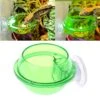 Suction Cup Reptiles Feeder Anti-escape Amphibians Drinker Bowl Worm Container