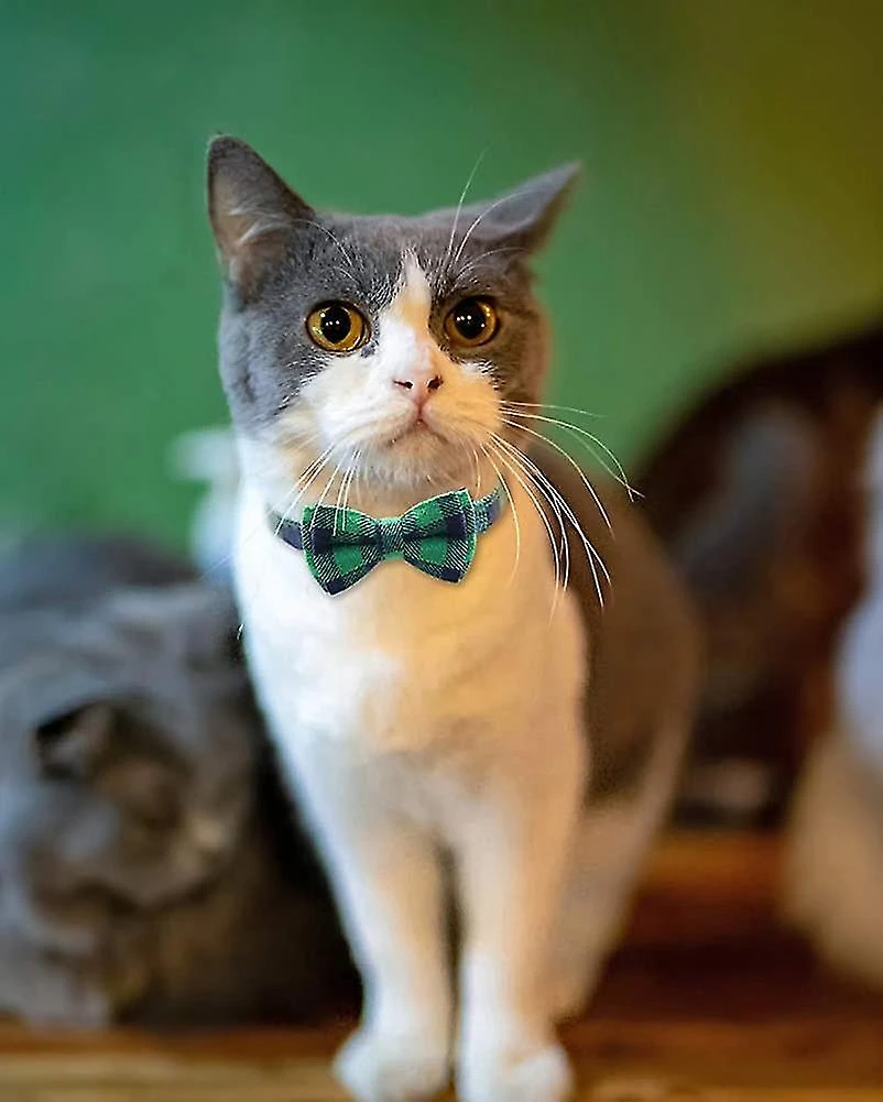 Cat Collar Anti Strangulation Cat Collar, Cat Collar With Bell And Bow Tie - Image 4
