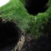 Fish Tank Decoration Accessories Moss Tree House Cave For Little Fish Aquarium Decorations