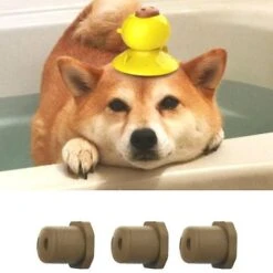 Pet Licker (containing 3 Pieces Of Vegetarian Molar Biscuits) Bath Partner Blue