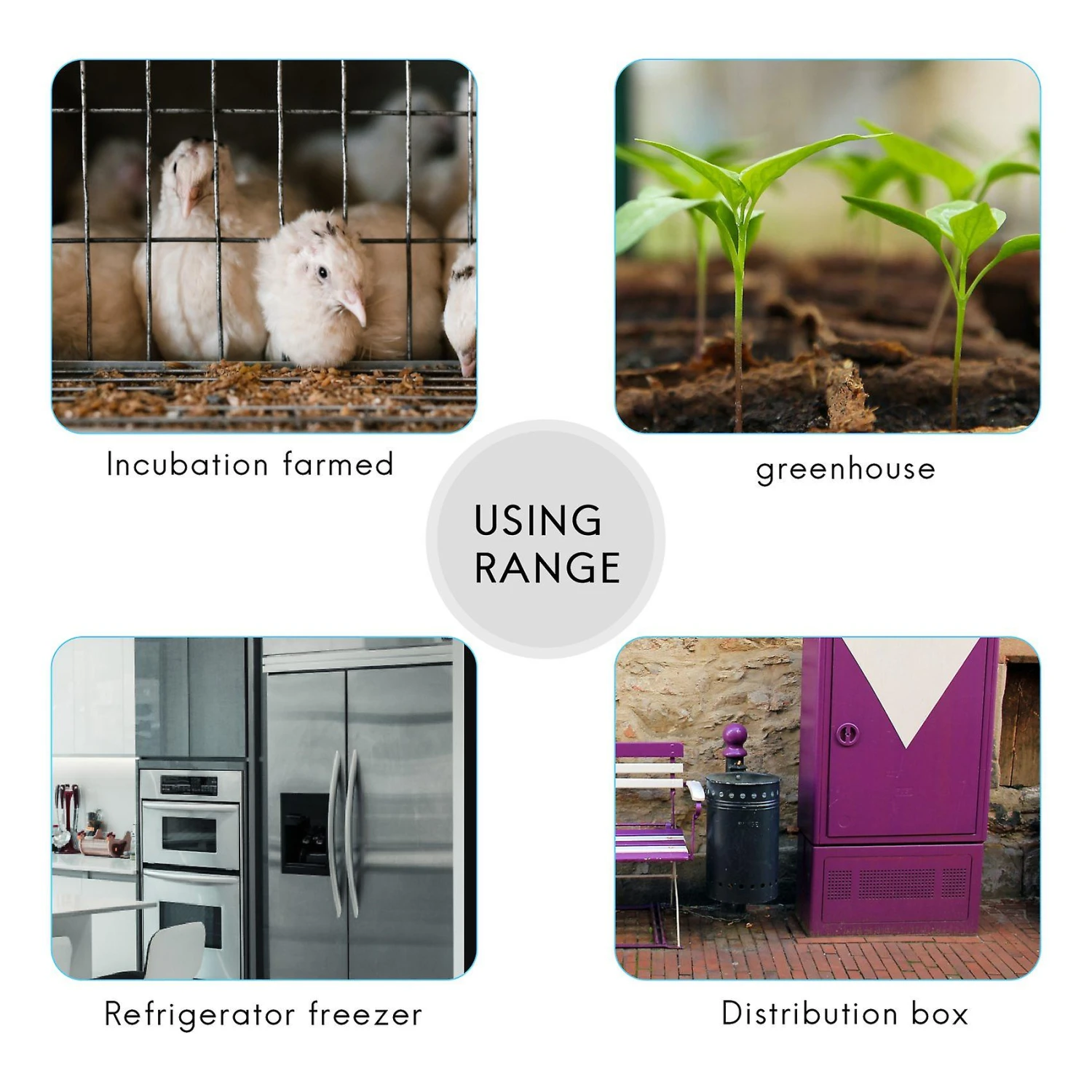 220v Digital Led Temperature Controller 10a Thermostat Control With Switch Digital Display Incubati - Image 5