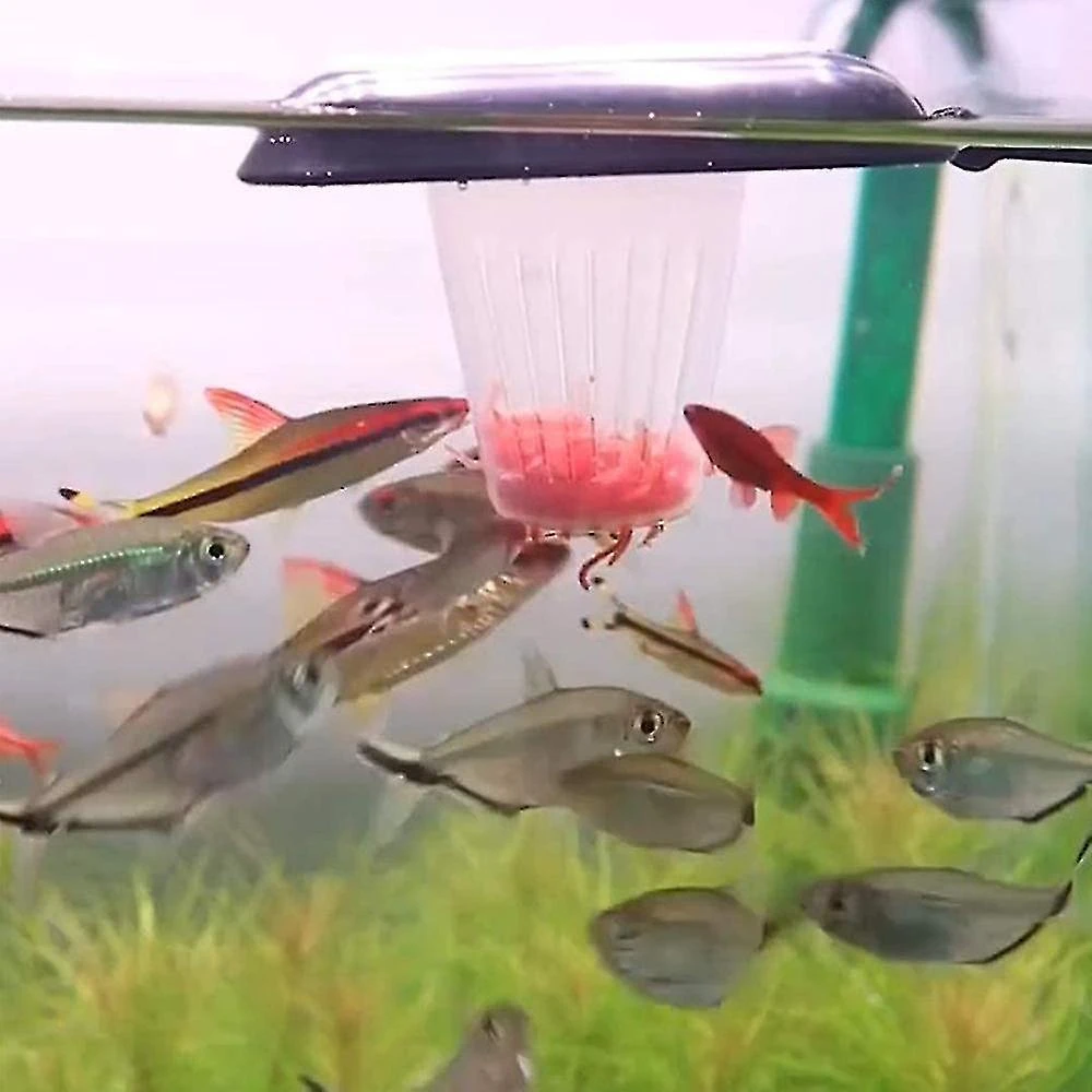 Fish Tank Red Worm Cup Red Worm Feeder Funnel Cone With Suction Cup - Image 5