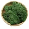 Artificial Moss Decorative Sphagnum Moss Dry Natural Fresh Flowers Grass For Flower Garden Lawn