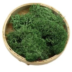 Artificial Moss Decorative Sphagnum Moss Dry Natural Fresh Flowers Grass For Flower Garden Lawn
