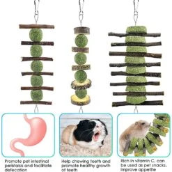Timothy For Hay Treat Fruitwood Chew Toy For Guinea Pig Rabbits Hamster Gerbil