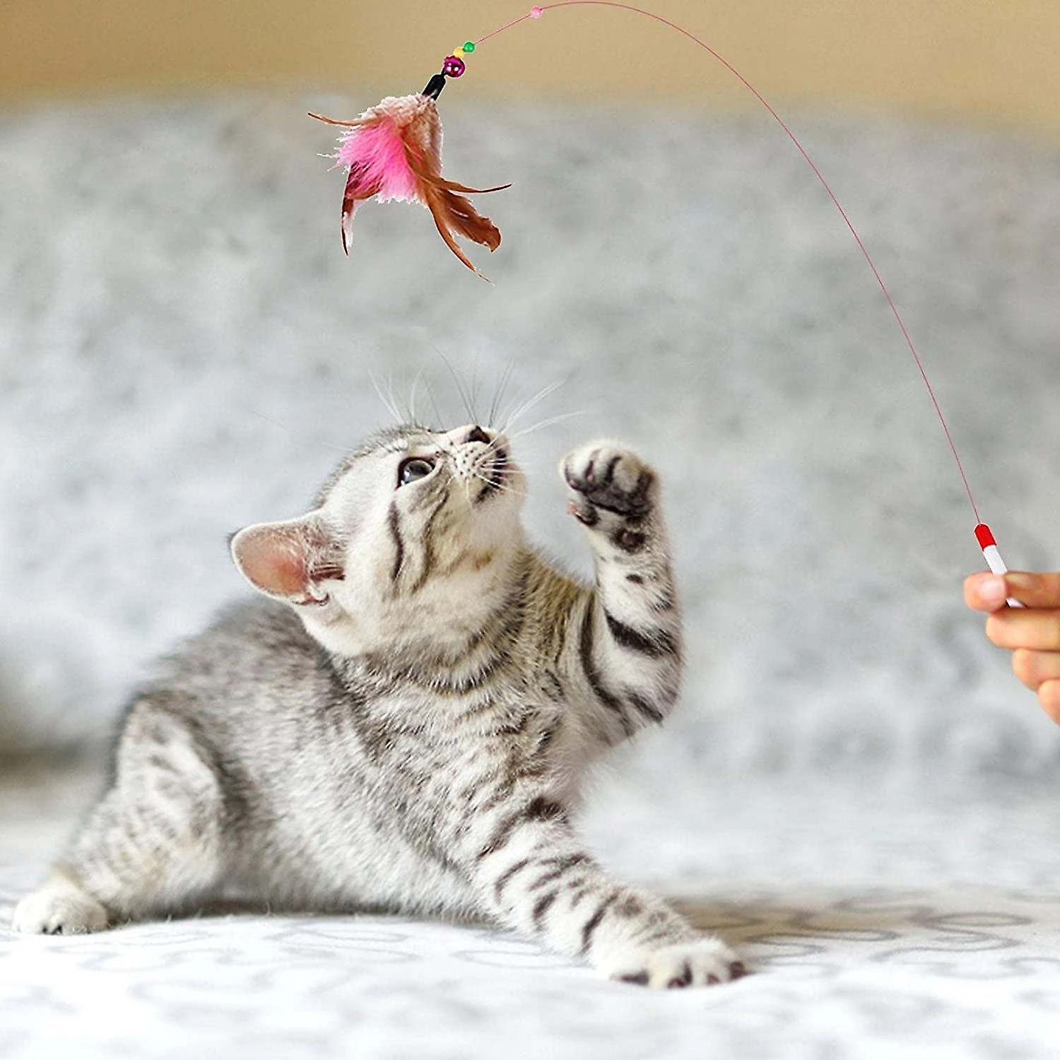 Pet 13 Pieces Set Cat Interactive Toys -for Indoor Cats Feather Toys -pet Chew Toys Cat Toys- Ball ?sticks Bell Cat Toys. - Image 4