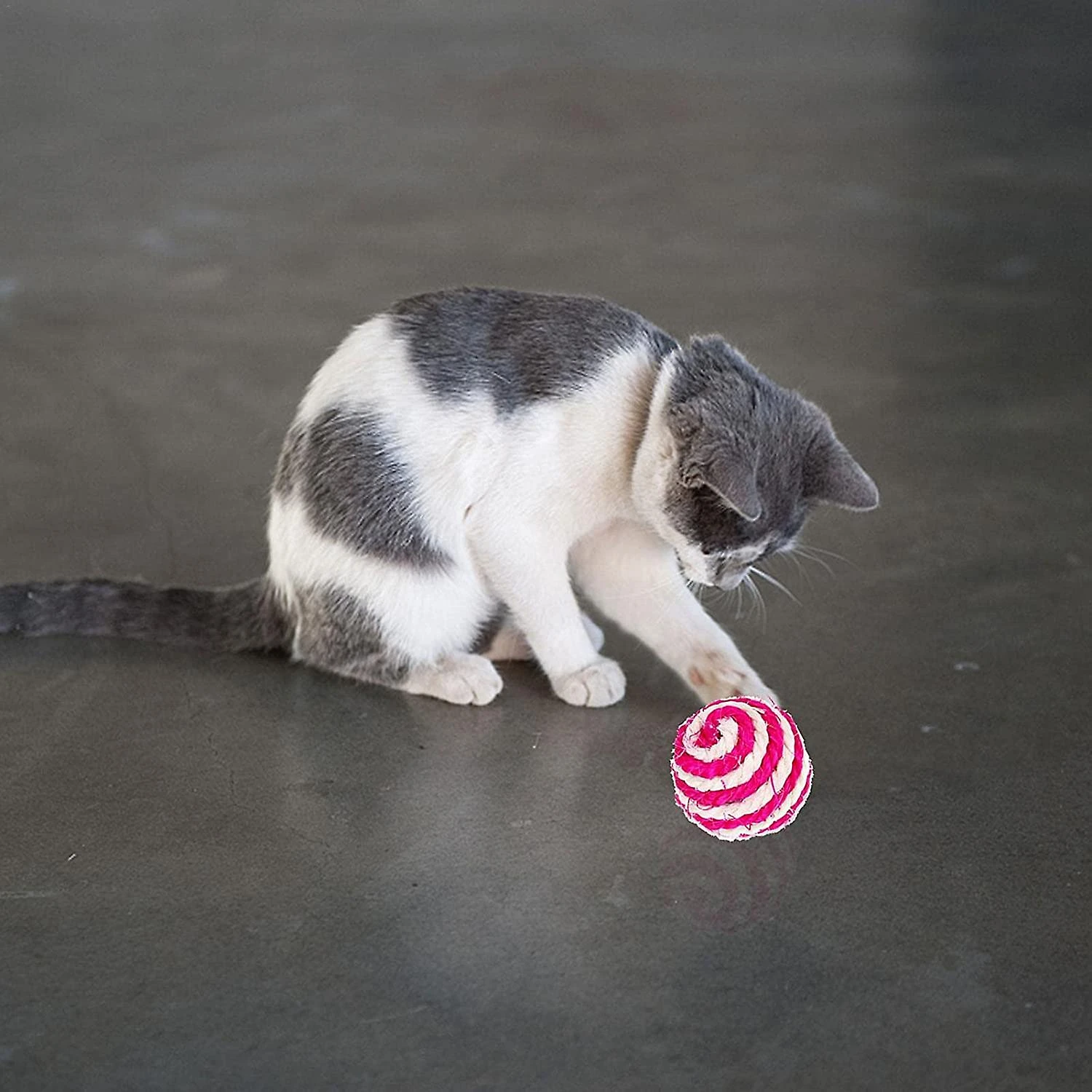 Pet 13 Pieces Set Cat Interactive Toys -for Indoor Cats Feather Toys -pet Chew Toys Cat Toys- Ball ?sticks Bell Cat Toys.