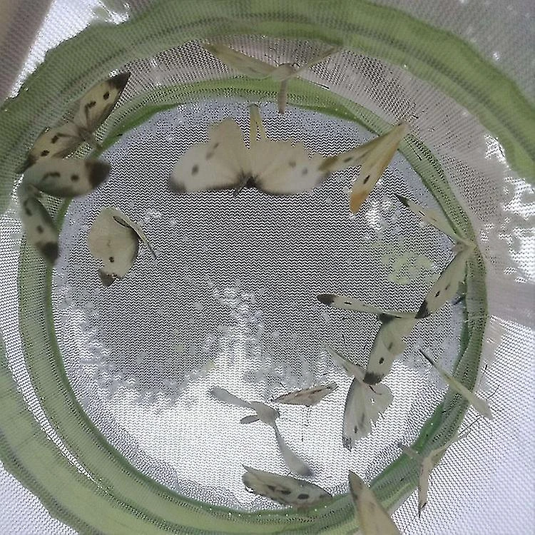 2 Pcs Butterfly Mesh Cage - Image 2