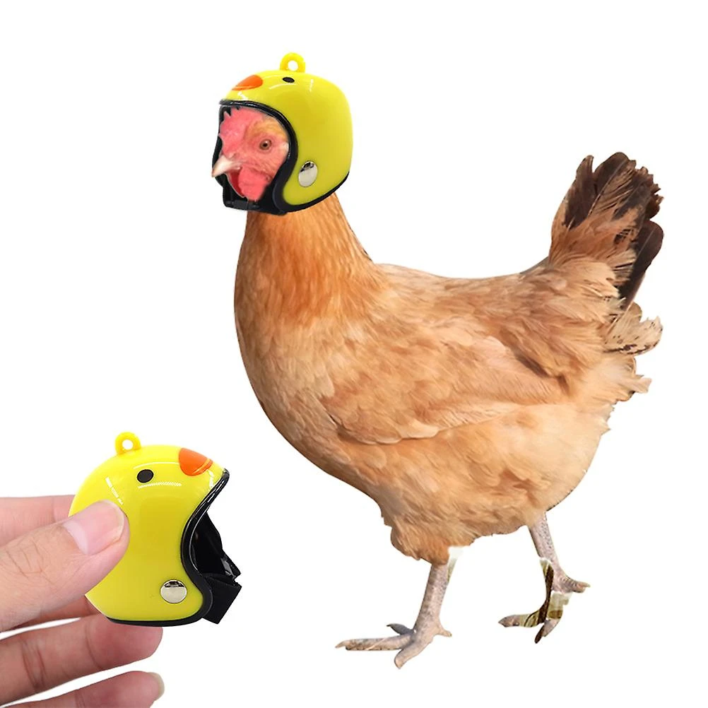 Cartoon Chicken Helmet Small Pet Helmet Adjustable Poultry Safety - Image 3