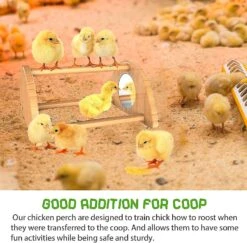 Mini Chick Perch With Mirror, Strong Bamboo Roosting Bar For Coop And Brooder