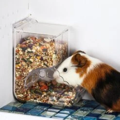 Automatic Hamster Food Dispenser Rabbit Guinea Pig Bowl B