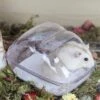 Large Hamster Sand Bath Container Transparent Clouds Hamster Bathroom With Scoop Set For Small Pet Animals Cage