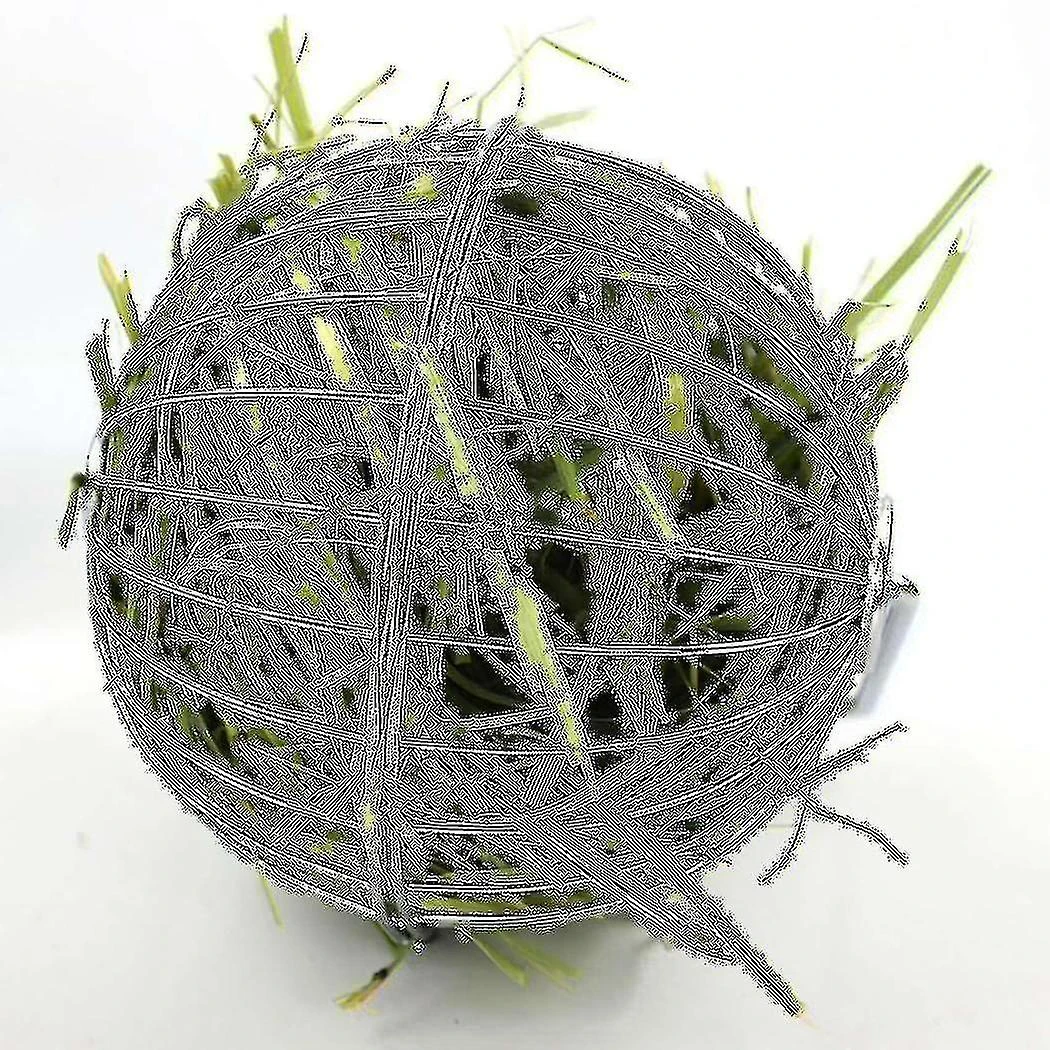 2x Manger Food Ball For Guinea Pig Hamster Rat Rabbit Fun